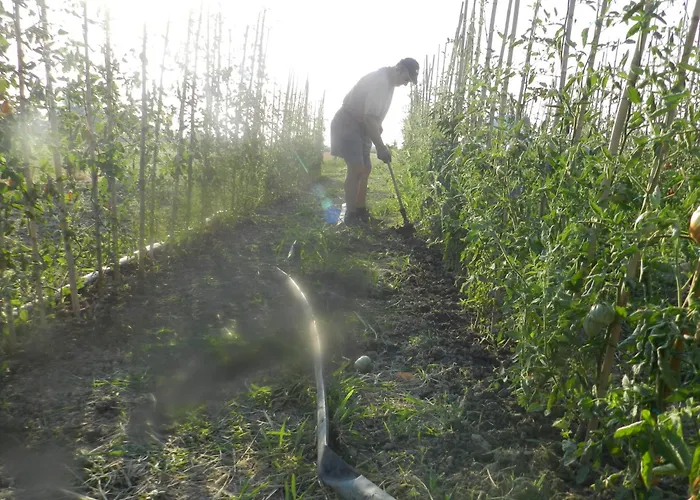 مزرعة للإقامة Corte Roeli *