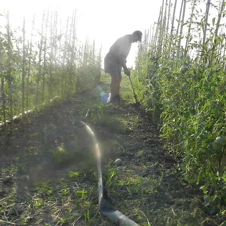 Feriegård Corte Roeli *