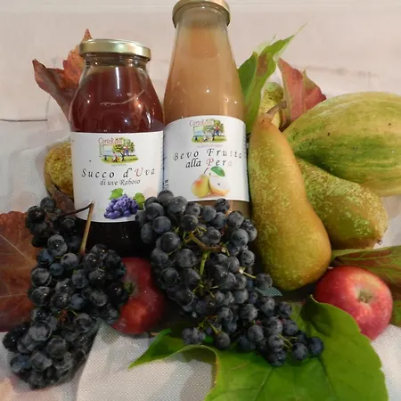 Corte Roeli Feriegård Malalbergo