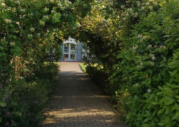 Fattoria Corte Roeli *